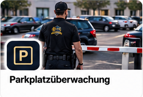 Illustration: Parkplatzüberwachung im F.S.-Firmenauftritt