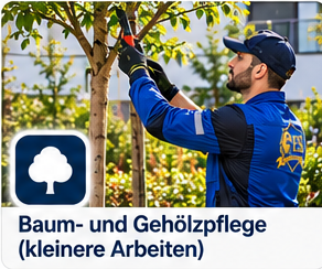 Illustration: Baum- und Gehölzpflege – kleinere Arbeiten
