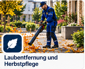 Illustration: Laubentfernung und Herbstpflege