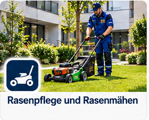 Illustration: Rasenpflege und Rasenmähen