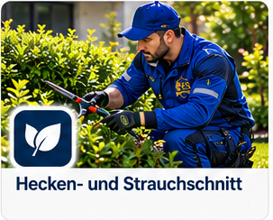 Illustration: Hecken- und Strauchschnitt