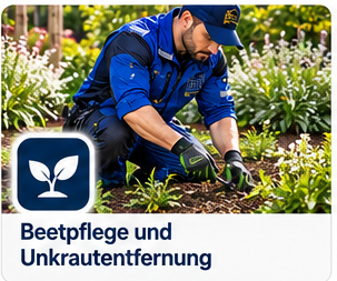 Illustration: Beetpflege und Unkrautentfernung