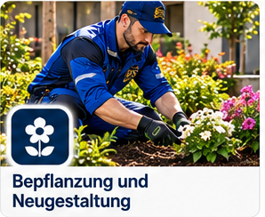 Illustration: Bepflanzung und Neugestaltung
