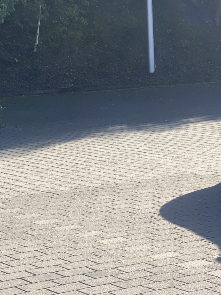 Außenfläche mit Pflasterbelag