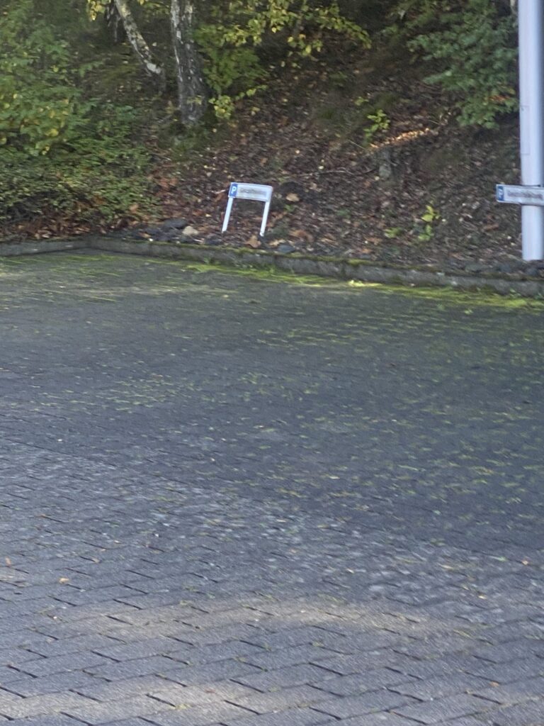 Gepflasterte Stellfläche